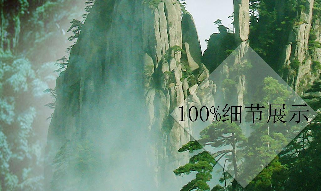 梦想的后院