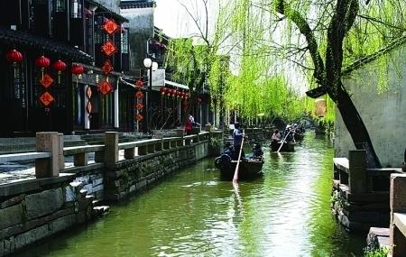 万年青开花的寓意与风水游戏画面